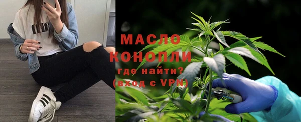 прущие грибы Алзамай