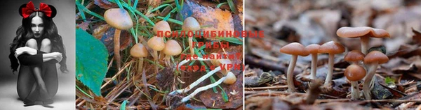 герыч Алексин