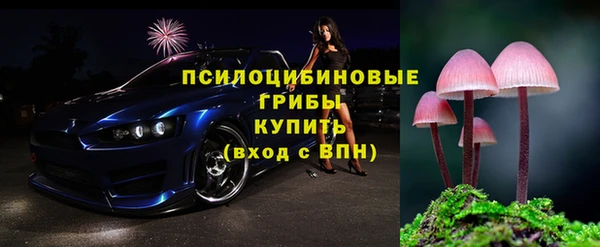 прущие грибы Алзамай