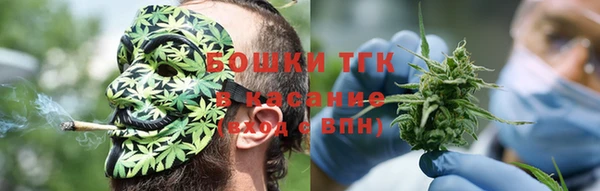 прущие грибы Алзамай