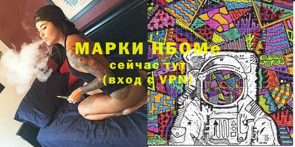 прущие грибы Алзамай