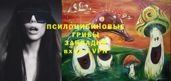 прущие грибы Алзамай