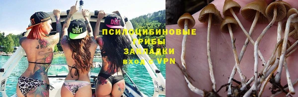 ешки Алексеевка