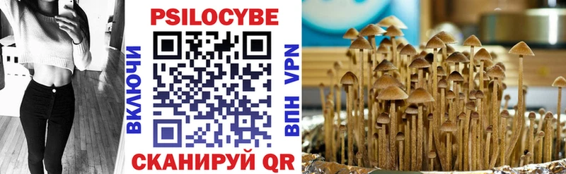купить  сайты  Ленинск  Галлюциногенные грибы ЛСД 