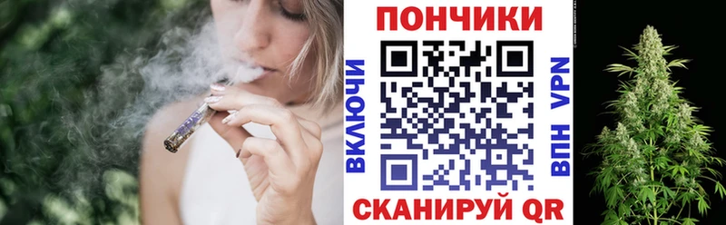 Каннабис сатива Ленинск